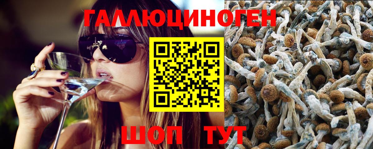 Галлюциногенные грибы MAGIC MUSHROOMS Тимашёвск