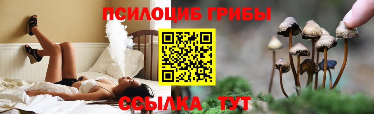 Тимашёвск  Псилоцибиновые грибы Cubensis  где купить наркоту  Вход с VPN 